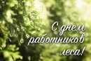 Уважаемые работники и ветераны лесного хозяйства!